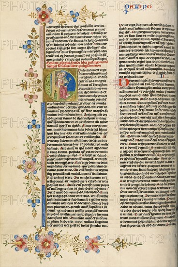 Initial C: Solomon with a Swordbearer; Bible, about 1450. Creator: Circle of Stefan Lochner.