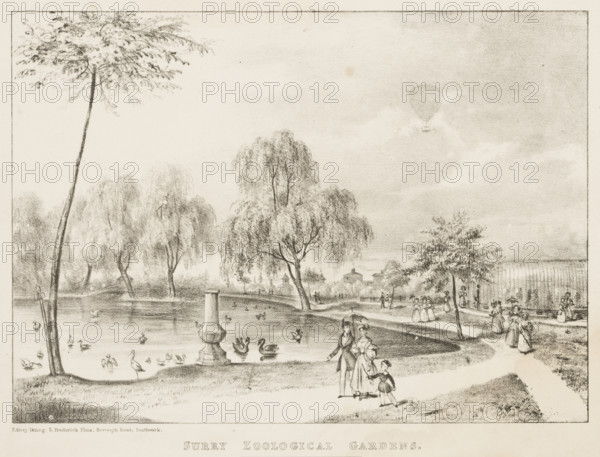 Surry Zoological Gardens, 1836. The Gardens were opened to rival London Zoo, as a way of displaying the menagerie of animal collector Edward Cross to the public.
