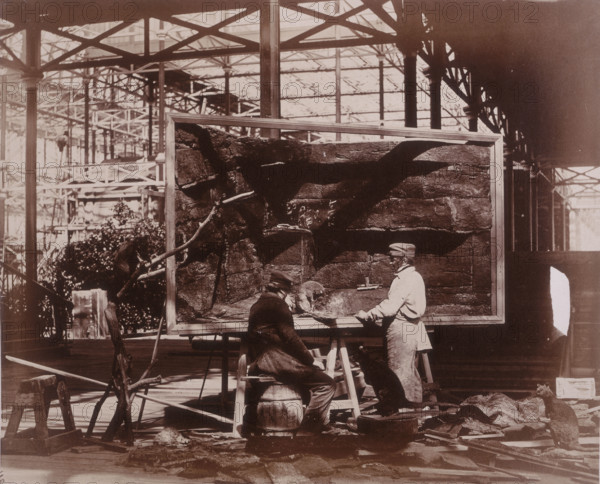 'Preparing Case for Marine Objects', Crystal Palace, Sydenham, 1852-1854. Designed by Sir Joseph Paxton to house the Great Exhibition of 1851 in Hyde Park, the Crystal Palace was reconstructed and enlarged in Sydenham in 1852. The first column was raised on 5 August 1852 and the palace was opened by Queen Victoria on 10 June 1854. Many exhibitions and events were subsequently held at the Crystal Palace until it burnt down on 30 November 1936. The park contained a motor racing circuit from 1937 until 1972 and the famous athletics track dates back to the foundation of the Crystal Palace Athletics Club in 1868. Plate 55 from "Photographic Views of the Progress of the Crystal Palace, Sydenham. Taken during the progress of the works, by desire of the directors, by Philip H Delamotte. Together with a list of the directors and officers of the company, etc". [London, 1855].