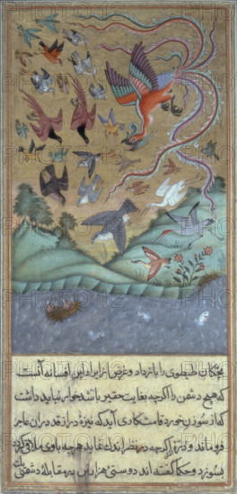 The simurgh leading an army of birds, c1610. The sandpipers sit on their nest on the water while the 'simurgh' leads the army of birds to their rescue. The simurgh is a mythical creature, related to the roc and the phoenix. It lives for up to 2000 years, and may even be immortal. It is said to have a nest in the Tree of Knowledge and is so old that it has seen the destruction of the world three times over. From the "'Anvar-i Suhail i", a modernised version of "Kali lah va Dimnah" by Husain Va'iz Kashifi'.