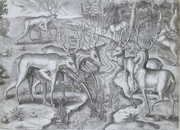 Indians using deer skins to hunt deer, 1591. Plate XXV from "America. Part II.- Latin" by Theodore de Bry. One of de Bry's (1528-1598) most well known works is "Les Grands Voyages, i.e., "The Great Travels", or "The Discovery of America".