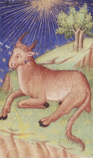 A bull lying down, 1423. Rays from the sun emanate from the top of the image. From the Bedford Hours, executed for the Duke of Bedford.