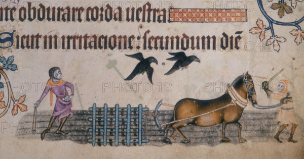 Two farm workers with a harrow, c1300-c1340. The man on the left uses a slingshot to chase away crows. From "The Luttrell Psalter" (Latin), begun before 1340 for Sir Geoffrey Luttrell.