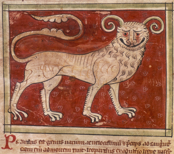 A leopard, 14th century. With a huge grin on its face and a long curly tail.