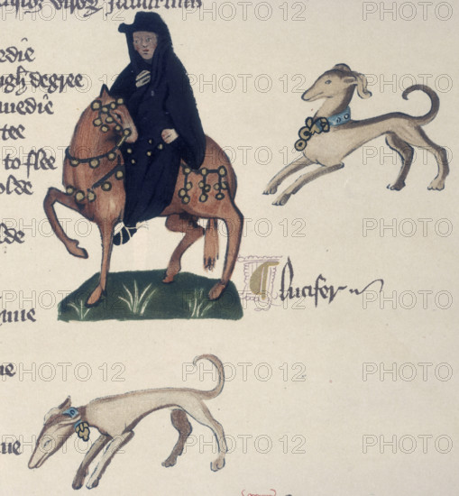 A monk on horseback and two dogs, 1911. From a facsimile made in 1911 of "The Ellesmere Chaucer", an early fifteenth century manuscript of "The Canterbury Tales", written by Chaucer in about 1387.