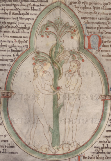 The Temptation of Adam and Eve, c1300. Adam and Eve eat the Forbidden Fruit from the Tree of Knowledge. From "Roll-Chronicle of the genealogy of Christ from Adam".
