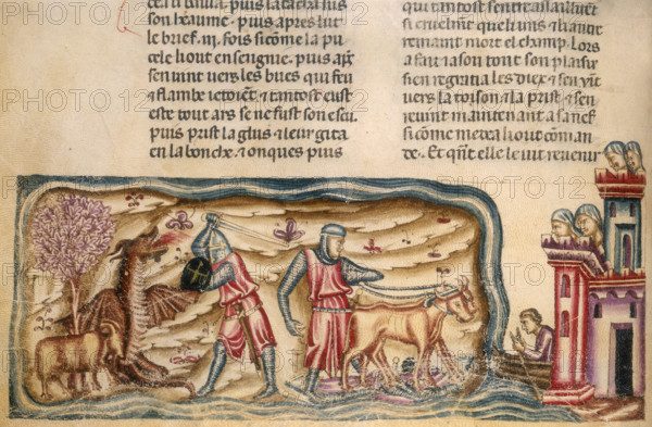 Jason in the Argo, yoking the oxen and slaying the dragon, 1340. On the far left Jason in a suit of armour fights the dragon. In the centre he has yoked the two firebreathing oxen and is sowing dragon's teeth. On the far right he is depicted rowing the ship Argo. Women watch from a tower. From 'Faits des Romains'.