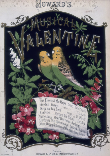 'Howard's Musical Valentine', 1876. Sheet music cover with two budgerigars and a list of the songs. 'The Flower & the Hope. Song. Ciro Pinsuti. Golden Rays - Caprice. Kinkel. Only an Ivy Leaf - Song. D. Wood. Evetide - Reverie for Piano. Jacoby. Time may steal teh roses darling. Birds in the Greenwood, Fantasia - Watson. Many Happy Returns of the day. Song, Heins'.