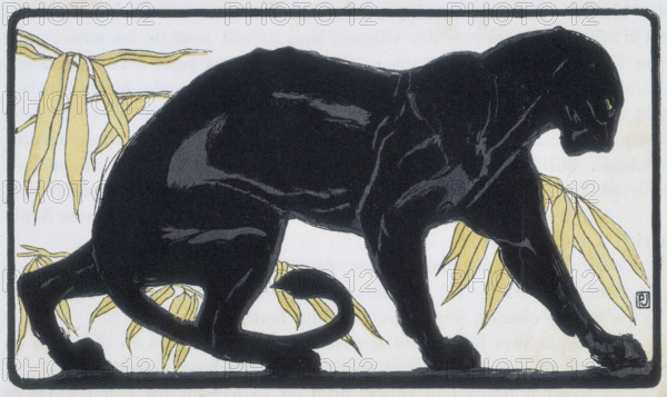 Panther; scene from "The Jungle Book", 1919. From a French translation of "The Jungle Book" by Rudyard Kipling.