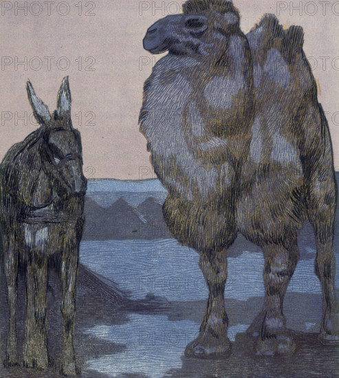 Camel and ass; scene from "The Jungle Book", 1919. From a French translation of "The Jungle Book" by Rudyard Kipling.