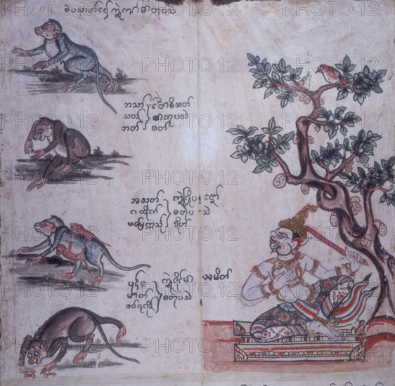 Monkeys and a Buddhist deity, c1700-c1820. On the left are four monkeys. The second one is playing with an insect, the third has two offspring holding onto it, and the fourth one is playing with two crabs. The buddhist deity on the right is sitting under a tree. From a fortune-telling manual.