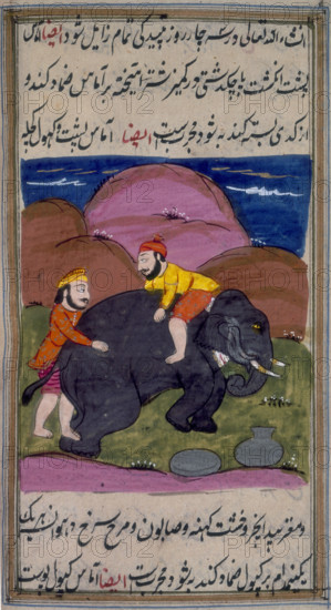Two men treating an elephant, c1700-c1899. An elephant lying on the ground, with one man on its back, and the other behind it. From the "Filnameh" a manual of disease remedies.