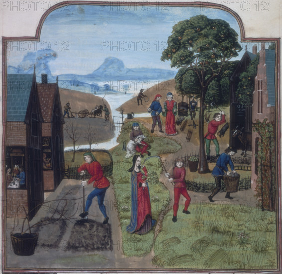 Labours of the Months, c1475-c1500. Showing 12 labours. Men digging the soil, cutting the grass with a scythe, shearing sheep, chopping wood and gathering it into bundles. To the right a man is about to kill an animal with an axe, while another carries a basket of grapes. In the distance two men plough a field. A woman holding a sprig of flowers looks on.