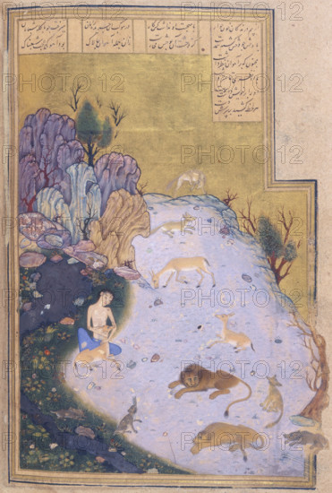 Majnun with animals in the desert, c1492-c1493. An extremely thin Majnun sits with a fawn resting in his lap. Around him are deer, lions and wolves. Majnun goes to live in the wilderness after the father of the girl he loves, Layla, refuses him permission to marry her. From the "Khamsah" by Nizami, a Persian poet.
