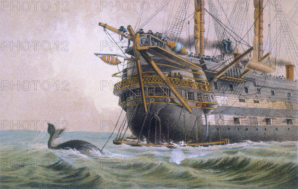 HMS Agamemnon laying the original Atlantic cable, 1850s. Sailors watch a whale. The Agamemnon was a Royal Navy 91-gun battleship ordered by the Admiralty in 1849, in response to the perceived threat from France by their possession of ships of the Napoléon class. In 1857, the British government fitted her out to carry 1,250 tons of telegraphic cable for the Atlantic Telegraph Company's first attempt to lay a transatlantic telegraph cable. Although this initial cable attempt was unsuccessful, the project was resumed the following year and Agamemnon and her U.S. counterpart, USS Niagara, successfully joined the ends of their two sections of cable in the middle of the Atlantic on 29 July 1858.