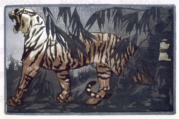Tiger; scene from "The Jungle Book", 1919. From a French translation of "The Jungle Book" by Rudyard Kipling.
