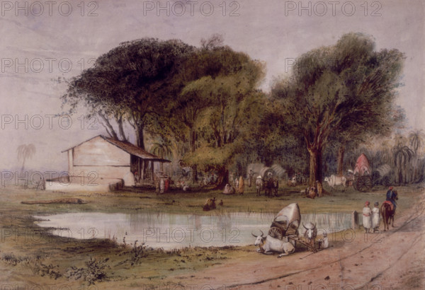 Tank and grove on Doums Road, near Surat, India, c1827-c1839. Landscape with small house and a pond. A pair of oxen rest with their owner and the cart they were pulling.