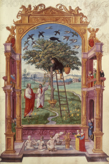 Illustration of the Other Parable, 1582. A man climbs a ladder leaning against a golden fruit tree with a crown encircling its root. The scene takes place within an ornate frame, and in the foreground are women bathing, apparently watched from a balcony above by a king and others. From "Splendor solis" (The splendour of the sun).