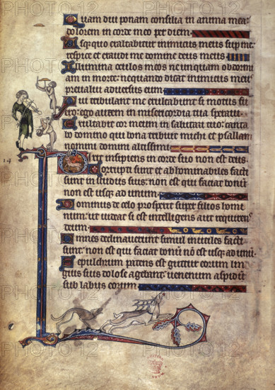 Musician and monkeys; dog chasing a stag, 1284-c1316. Part of Psalm 12, and Psalm 13, beginning with initial 'D'. Marginal drawings of a musician playing a fiddle, a grotesque with bagpipes, and at the foot, a stag hunted by a dog. The psalter was probably commissioned to celebrate the proposed marriage of Prince Alphonso, son of King Edward I, and Margaret, daughter of Florent V, Count of Holland, which did not take place due to the death of Alphonso in August 1284. From the Alphonso Psalter [formerly known as the Tenison Psalter].