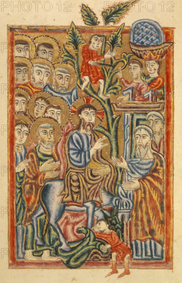 The entry of Christ into Jerusalem, 1541. Palm branches are strewn in the path of Christ's humble donkey as he reaches the city. A man in a tree saws off more branches.