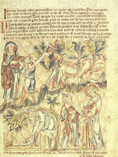 Lamech kills his son, and Noah is warned of the flood, c1320-1330. Old Testament scenes. Above left: Lamech beats his son to death with his bow, after Lamech has returned from the thicket where he found Cain, (above right), lying pierced by an arrow. Cain had been cutting firewood by improperly mutilating a living oak; his billhook lies on the ground. Below left: Noah uses an adze to build the Ark. Below right: God warns him of the flood. From the Holkham Bible Picture Book, biblical and apocryphal stories in Norman French.