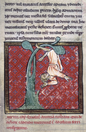 The soul of a man falls from a tree, 4th quarter of the 12th century. Detail of a miniature of St Cuthbert's vision of the soul of a man, who was killed by falling from a tree, being carried to heaven, from Bede's prose "Life of St Cuthbert".
