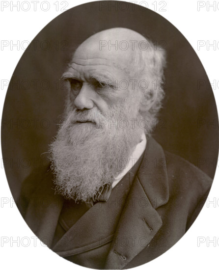 Charles Darwin, 1878. Darwin started his career on board the HMS 'Beagle' and spent six years surveying the South American seas. He is remembered for his momentous contributions to biology and as the originator of the theory of evolution. His most famous work, "The Origin of the Species by Means of Natural Selection", was published in 1859.