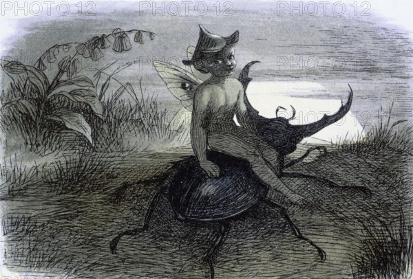'Water lilies and water fairies of the period', c1869-c1870. 'The Fairy Queen's messenger'. A fairy sits on the back of a beetle. From "In Fairy land. A series of pictures from the elf-world by Richard Doyle. With a poem by W Allingham." (London, 1869-1870).