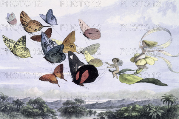 'Water lilies and water fairies of the period', c1869-c1870. The Fairy Queen takes an airy drive in a light carriage, drawn by thoroughbred butterflies. From "In Fairy land. A series of pictures from the elf-world by Richard Doyle. With a poem by W Allingham." (London, 1869-1870).