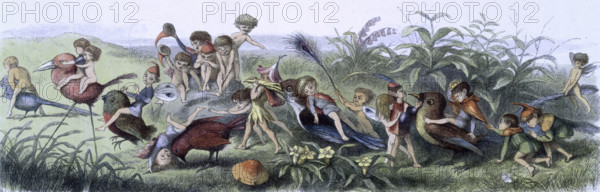 'Water lilies and water fairies of the period', c1869-c1870. 'This is part of the Triumphal Progress represented on a previous page; but owing to the delay caused by the tricks and gambols of the Elves, and the practical jokes of some of the birds, they have been left behind by the rest of the Procession.' An assortment of fairies, nymphs and elves ride on the backs of birds. From "In Fairy land. A series of pictures from the elf-world by Richard Doyle. With a poem by W Allingham." (London, 1869-1870).