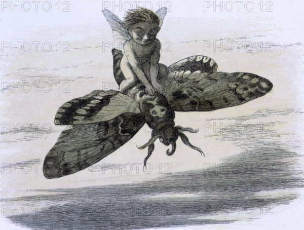 'Water lilies and water fairies of the period', c1869-c1870. Here one of them is flying on the back of a butterfly. From "In Fairy land. A series of pictures from the elf-world by Richard Doyle. With a poem by W Allingham." (London, 1869-1870).