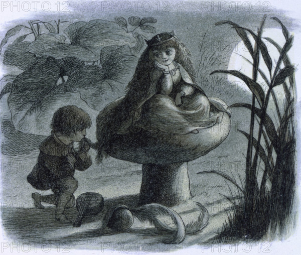'Water lilies and water fairies of the period', c1869-c1870. A fairy sitting on a toadstool is being wooed by a lover. From "In Fairy land. A series of pictures from the elf-world by Richard Doyle. With a poem by W Allingham." (London, 1869-1870).