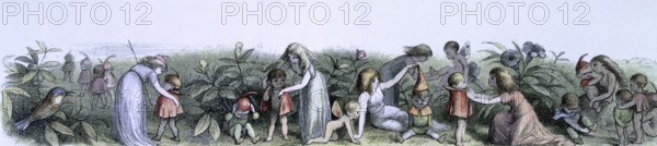 'Water lilies and water fairies of the period', c1869-c1870. An assortment of fairies, nymphs and elves getting dressed. From "In Fairy land. A series of pictures from the elf-world by Richard Doyle. With a poem by W Allingham." (London, 1869-1870).