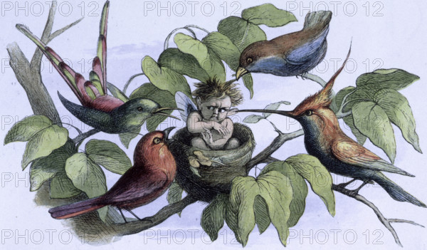 'Water lilies and water fairies of the period', c1869-c1870. An Intruder. A baby fairy is sitting in a bird's nest surrounded by birds. From "In Fairy land. A series of pictures from the elf-world by Richard Doyle. With a poem by W Allingham." (London, 1869-1870).