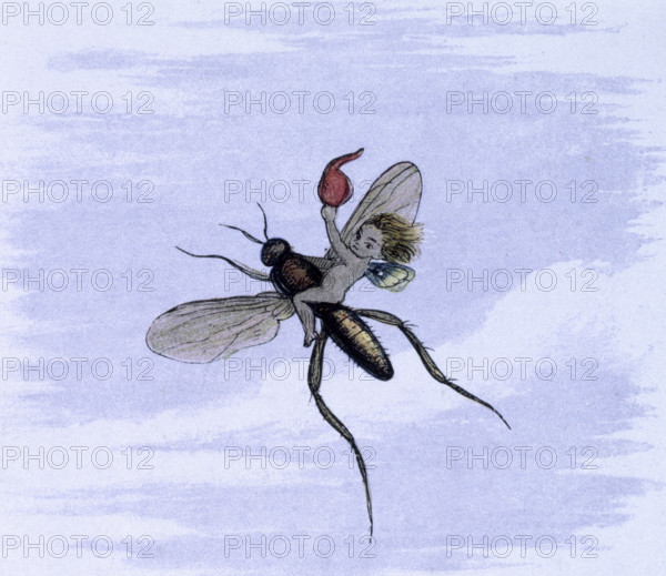 'Water lilies and water fairies of the period', c1869-c1870. Flying away. A fairy flies on the back of an insect. From "In Fairy land. A series of pictures from the elf-world by Richard Doyle. With a poem by W Allingham." (London, 1869-1870).
