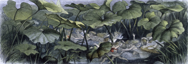 'Water lilies and water fairies of the period', c1869-c1870. Wood elves at play. An assortment of fairies, nymphs and elves amuse themselves on some lily pads and flowers in a pond. From "In Fairy land. A series of pictures from the elf-world by Richard Doyle. With a poem by W Allingham." (London, 1869-1870).