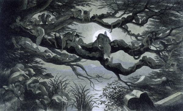 'Water lilies and water fairies of the period', c1869-c1870. An assortment of fairies, nymphs and elves lie asleep on branches of a tree under the moonlight. From "In Fairy land. A series of pictures from the elf-world by Richard Doyle. With a poem by W Allingham." (London, 1869-1870).