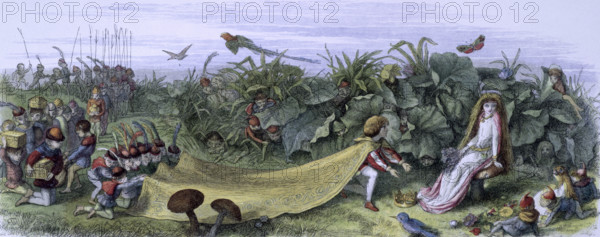 'Water lilies and water fairies of the period', c1869-c1870. A prince offering gifts. 'This is the prince who travelled from a far country that he might place his crown at the feet of that wayward Fairy, who is seen seated upon her throne, a toadstool. He also offers her his heart, and his hand; and besides, he begs her acceptance of priceless gifts, which are carried in caskets of gold by his numerous train of retainers (Elves of the highest rank and first families in Fairy-land). There are earrings, necklaces, and bracelets of the most beautiful precious stones, - coral not more red than her lips, turquoises almost as blue, and diamonds almost as bright, as her eyes: at least, the Fairy Prince said so'. From "In Fairy land. A series of pictures from the elf-world by Richard Doyle. With a poem by W Allingham." (London, 1869-1870).