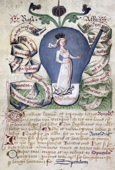 The stage of the white elixir, a queen or Rosa alba (the white rose),15th century. The queen is dressed all in white, with Latin text below and on bands of scrolling parchment either side of her. The stage of the white elixir was the second stage of the alchemical process that took place after the black stage, but before the red stage. If these colours appeared in the wrong order it was believed that the process had failed. From Alchemy: General collections and anonymous treatises and processes in prose and verse.
