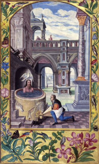Alchemical process, 1582. Aeson, (with the dove of the Holy Spirit on his head?), is rejuvenated by having his blood replaced by magic juices in a boiling vat; representing the process of self-destruction in order to attain the elixir of life. An alchemist or a servant is fanning the fire under the tub with a pair of bellows. The scene takes place within a courtyard decorated with ornate marble columns, borders decorated with birds and flowers. Possibly an illustration of the Seventh Parable. This is a miniature from "Splendor solis" (The Splendour of the sun), showing a stage in the alchemical process which draws on visual representations of the Baptism of Jesus.