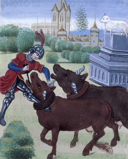 Jason yokes the oxen in his attempt to acquire the Golden Fleece, late 15th century. From a French translation of Ovid's Metamorphosis. (Metamorphoses, second anonymous French translation - Ovide moralisé).