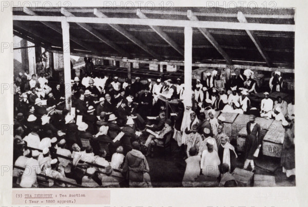 Tea auction, probably in Calcutta, India, c1880. The European men wear bowler hats and pith helmets.