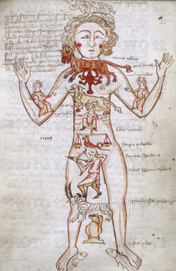 Zodiac man, at the beginning of the Numerus et Ordo signorum, 15th century. Drawing of a human figure with the 12 signs of the Zodiac, illustrating the different areas of the human body, each governed by a different sign. Here the macrocosm-miscrocosm link between humans and the heavens is demonstrated; the medieval practice of astrological medicine decreed that the dominant influence on the balance of the four humours came from the heavens, and activities such as bleeding must not be undertaken unless the planets were in favourable positions. From Medical miscellany.