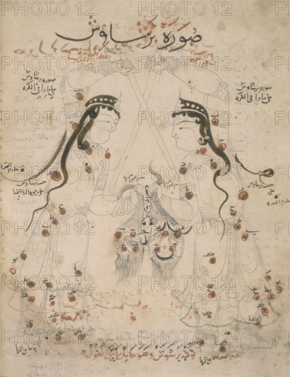Bearer of the demon's head, 10th century. A Persian representation of the constellation Perseus, who holds the head of Medusa, in accordance with the mythological legend. It is depicted in double aspect in order to show it as seen from the earth and reversed as on a star-globe. From the star catalogue of the Persian astronomer Al-Sufi.