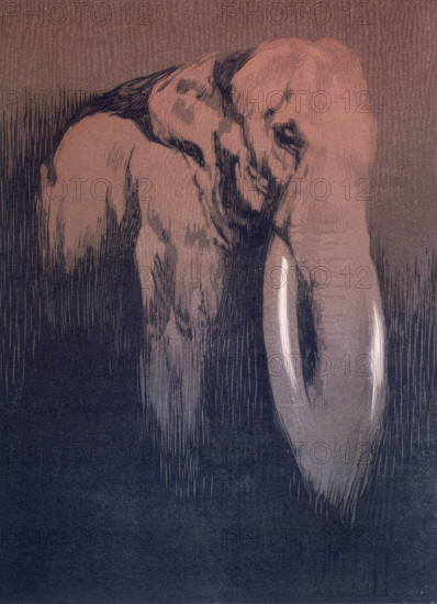 Elephant; scene from "The Jungle Book", 1919. From a French translation of "The Jungle Book" by Rudyard Kipling.