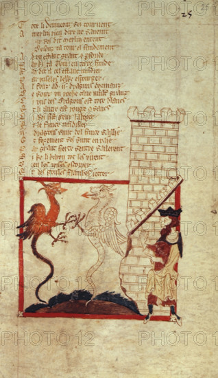 The deeds of Merlin: Vortigern finds red and white dragons beneath the foundation of his castle, mid 14th century. From Romances in French verse.
