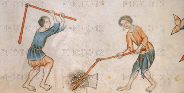 Two men beating corn with flails, c1325-c1335. Two barefoot men with flails thresh a sheaf of corn. From "The Luttrell Psalter" (Latin), begun before 1340 for Sir Geoffrey Luttrell.