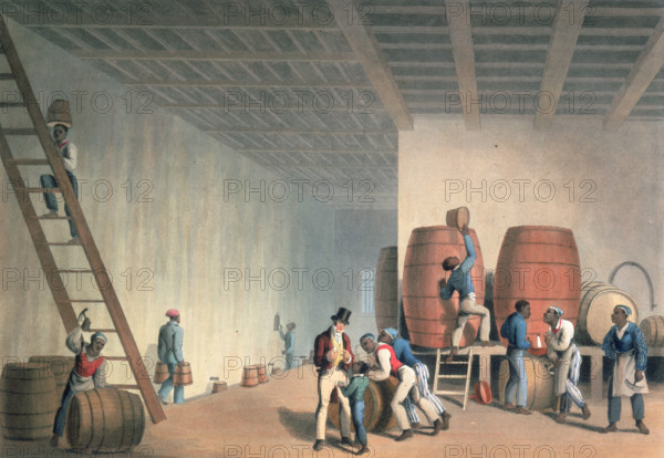 Interior of distillery with slaves loading rum barrels, Antigua,1823. Within a spacious cellar stands a supervisor, overseeing other workers in the production, storage and transportation of rum. From "Ten Views in the Island of Antigua, in which are represented the process of sugar making, and the employment of the negroes ... From drawings made by W Clark, etc" written and illustrated by William Clark. (London, 1823).