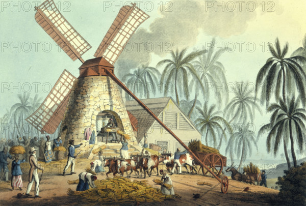 The Mill Yard, Antigua, 1823. A large windmill set in a tropical landscape surrounded by African labourers grinding sugar cane in a windmill,. From "Ten Views in the Island of Antigua, in which are represented the process of sugar making, and the employment of the negroes ... From drawings made by W Clark, etc" written and illustrated by William Clark. (London, 1823). ten-views-in-the-island-of-antigua---caption-the-mill-yard_12459234884