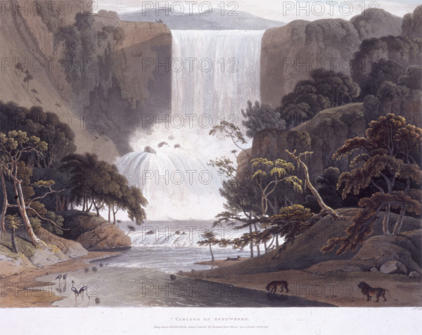 'Cascade on Sneuwberg', 1804. From "A collection of plates illustrative of African scenery and animals" by Samuel Daniell. (London 1804).